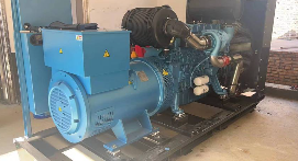 電廠發電機組安裝冠航手拉葫蘆應用